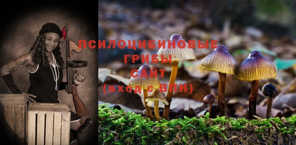 СК Россошь