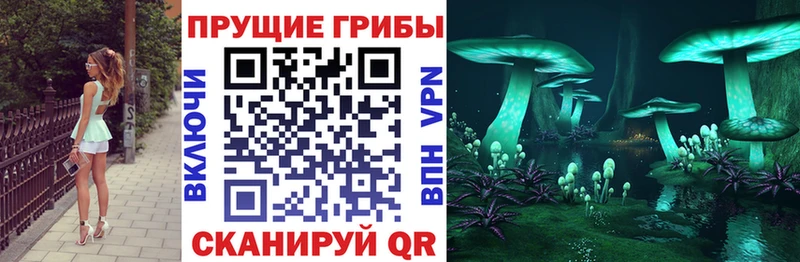 Галлюциногенные грибы Cubensis  как найти закладки  Нерчинск 